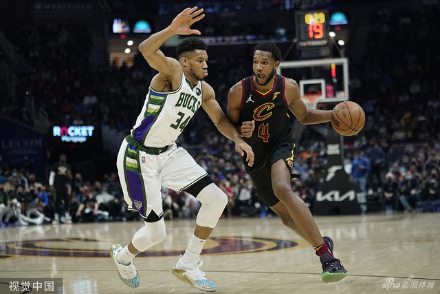 帕尔默的影 帕尔默的影