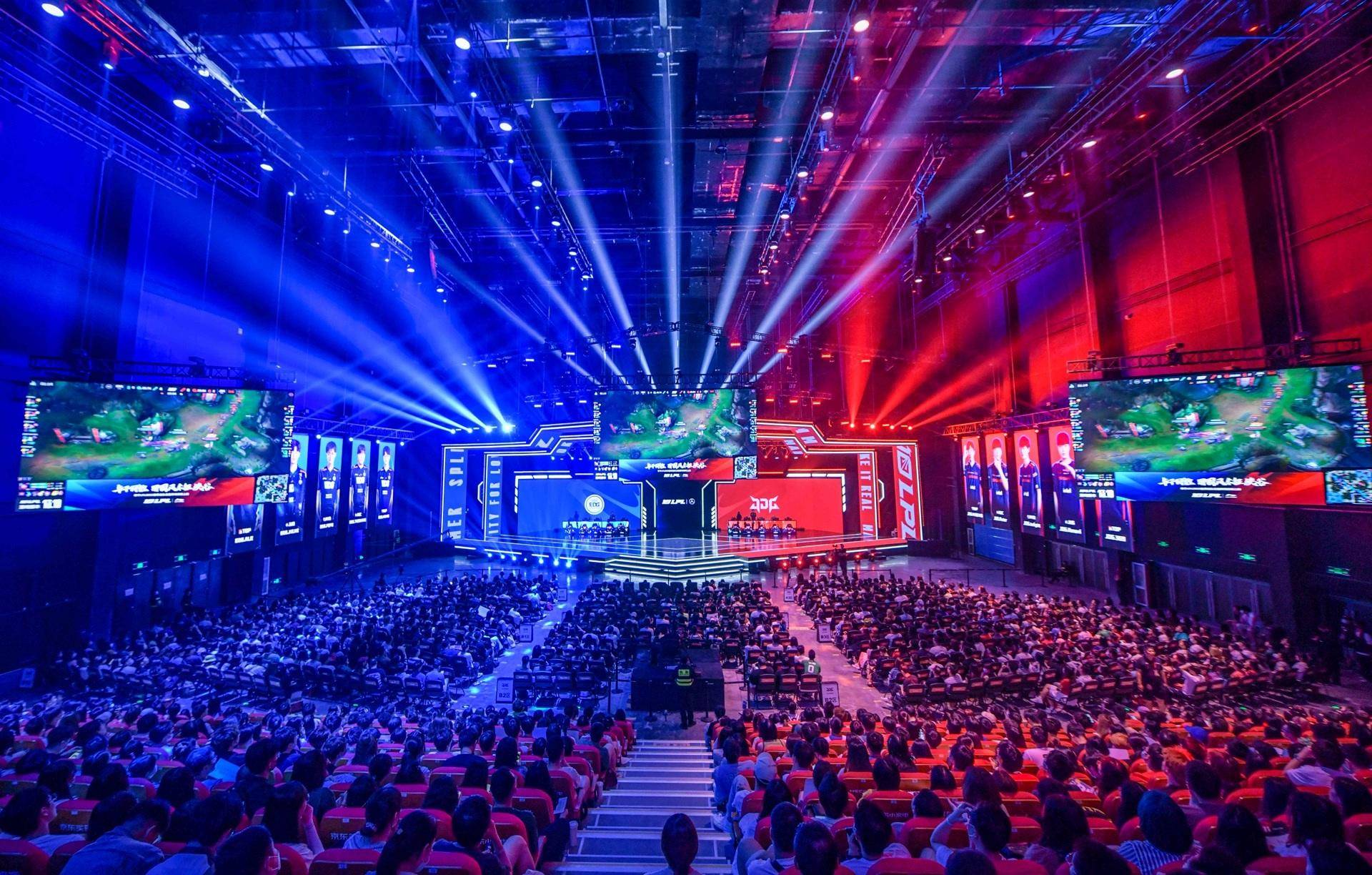 今年的一些 今年的一些