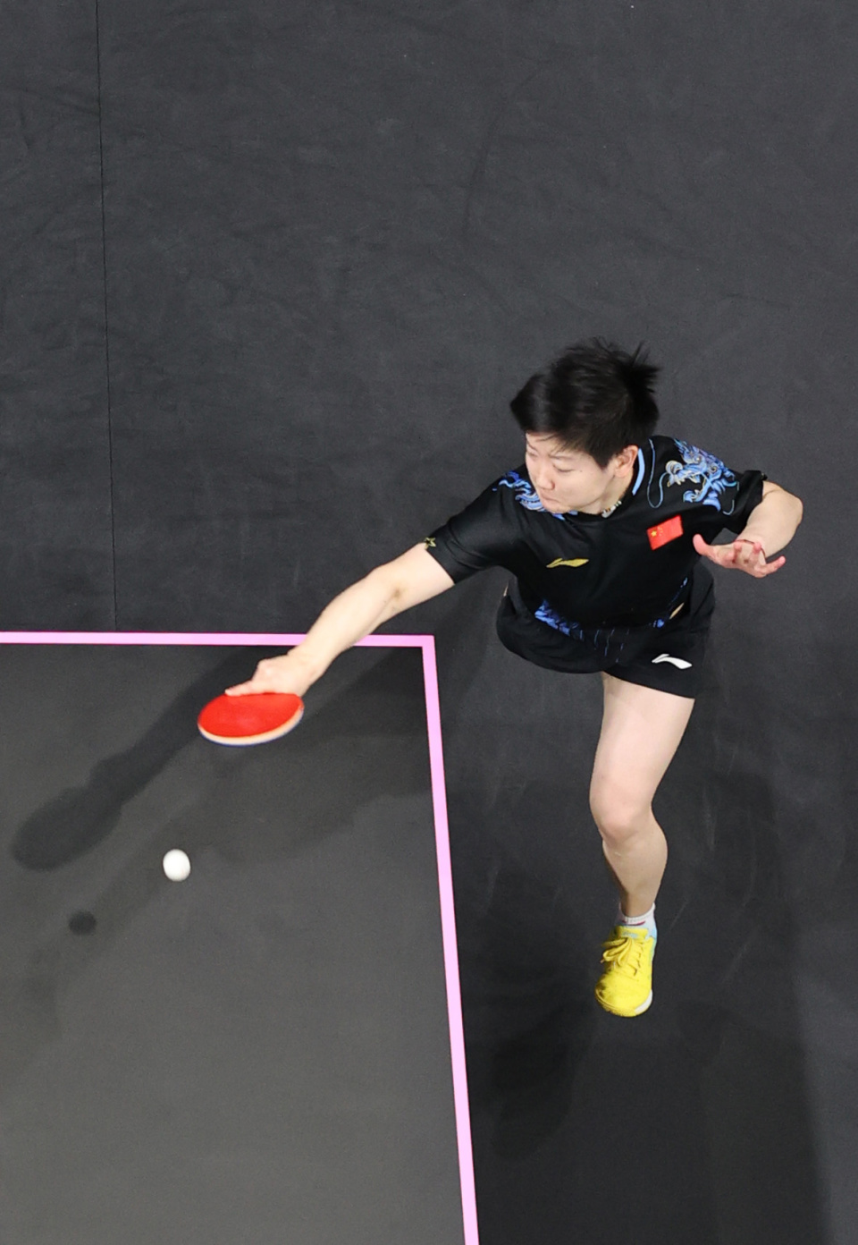 投入训练的 投入训练的